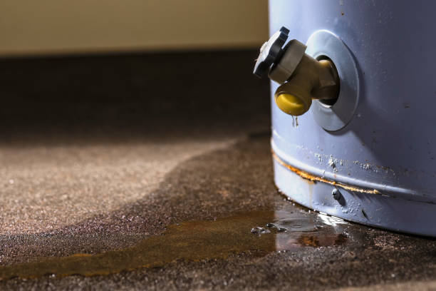 Best Water damage cleanup near me  in Mitchellville, IA