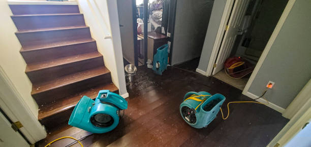  Mitchellville, IA Water damage restoration Pros