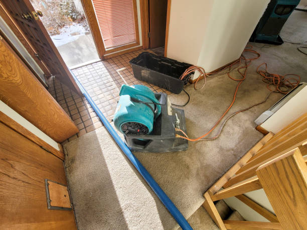 Best Water damage restoration near me  in Mitchellville, IA
