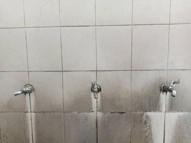 Best Flood restoration services  in Mitchellville, IA