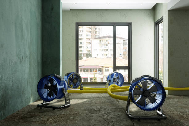 Best Commercial water damage restoration  in Mitchellville, IA
